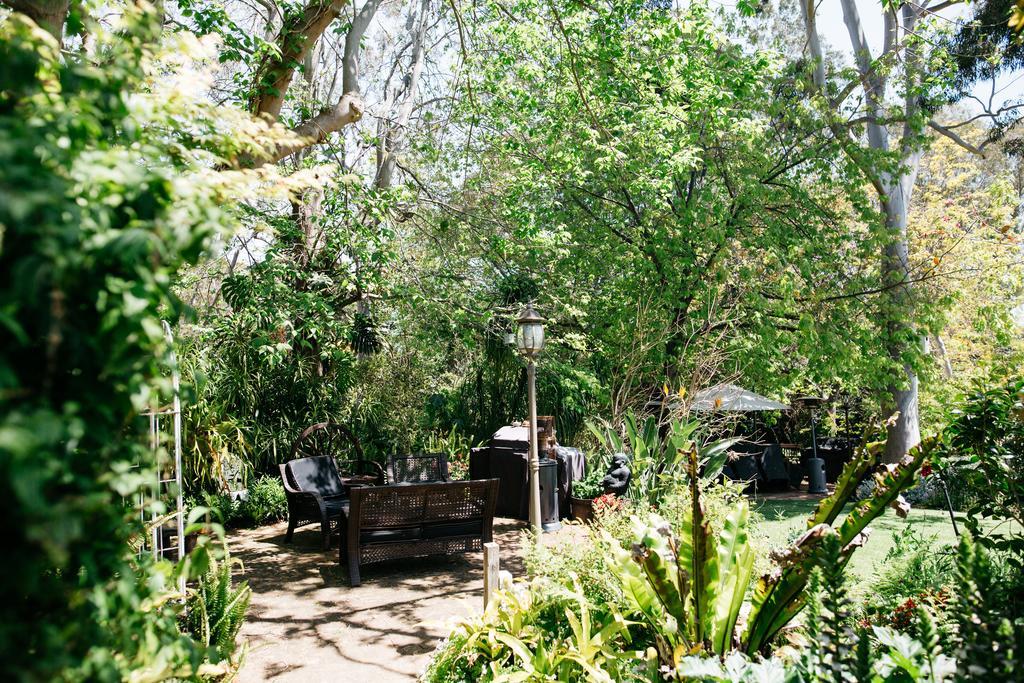 Possum Creek Lodge Gooseberry Hill ภายนอก รูปภาพ